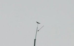 2011.03.27 086.jpg